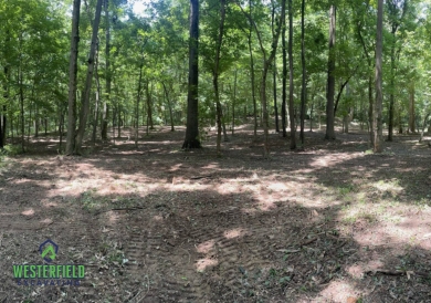 cleared trees forestry boonville indiana