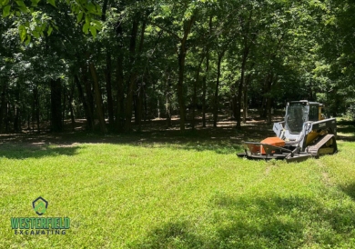 clearing trees spencer county