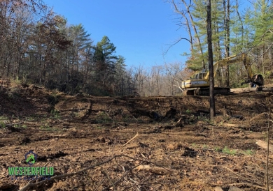 excavating forestry spencer county