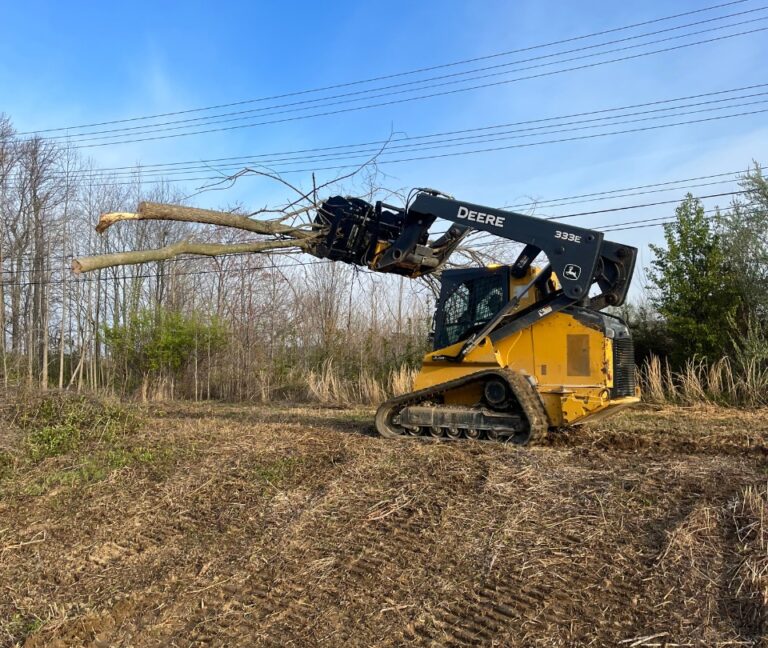 tree removal and excavation services rockport indiana