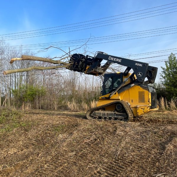 tree removal and excavation services rockport indiana